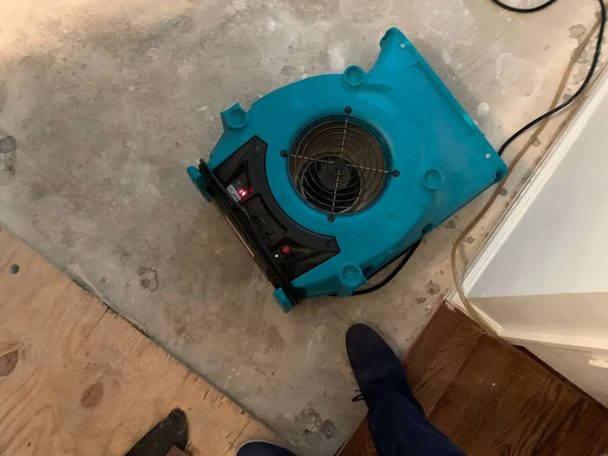 Air mover drying subfloor during Leak Detection & Repair in Redland